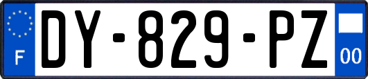 DY-829-PZ