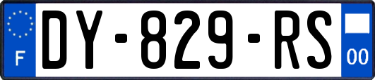 DY-829-RS