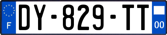 DY-829-TT