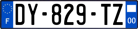 DY-829-TZ