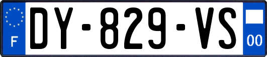 DY-829-VS