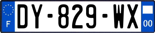 DY-829-WX