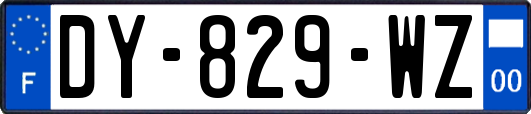 DY-829-WZ