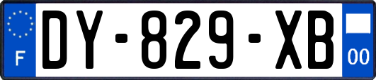 DY-829-XB