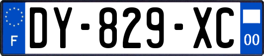 DY-829-XC