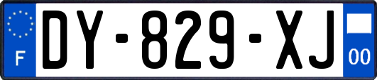 DY-829-XJ