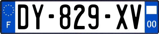 DY-829-XV