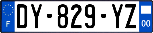 DY-829-YZ