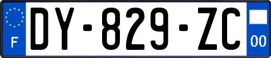 DY-829-ZC