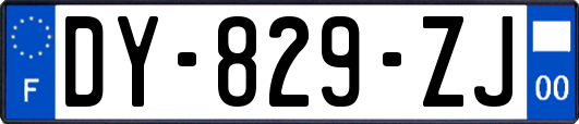 DY-829-ZJ