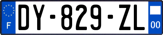 DY-829-ZL