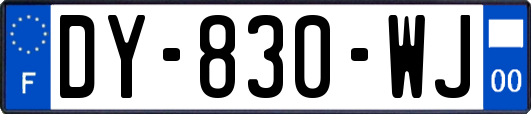 DY-830-WJ