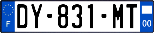 DY-831-MT
