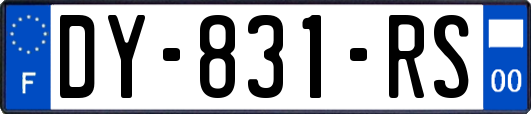 DY-831-RS