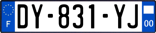 DY-831-YJ