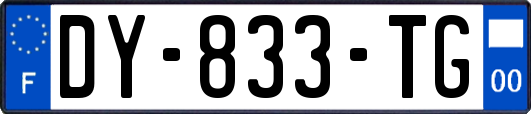 DY-833-TG