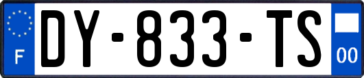 DY-833-TS