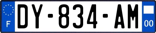 DY-834-AM