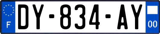 DY-834-AY