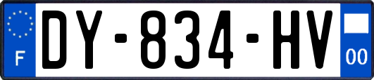 DY-834-HV