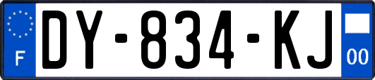 DY-834-KJ