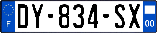 DY-834-SX