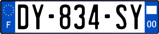 DY-834-SY