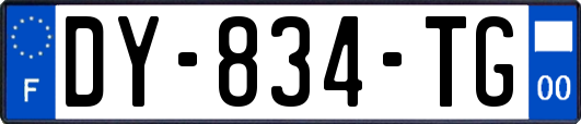 DY-834-TG