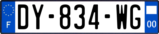 DY-834-WG