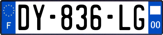 DY-836-LG