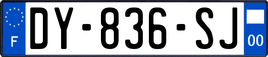 DY-836-SJ