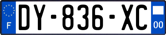 DY-836-XC