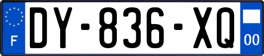 DY-836-XQ