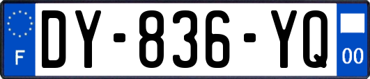 DY-836-YQ