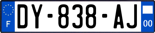 DY-838-AJ