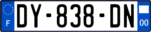 DY-838-DN