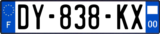 DY-838-KX