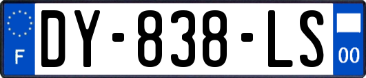 DY-838-LS