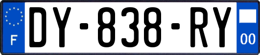 DY-838-RY