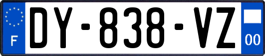 DY-838-VZ