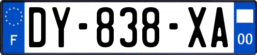 DY-838-XA