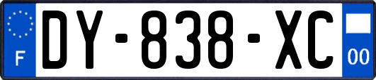 DY-838-XC