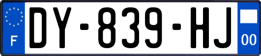 DY-839-HJ