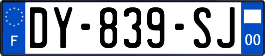 DY-839-SJ