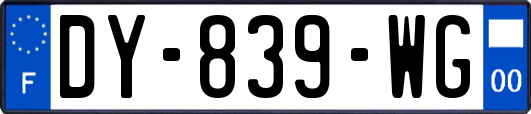 DY-839-WG