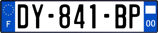 DY-841-BP