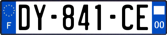 DY-841-CE