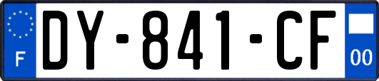 DY-841-CF