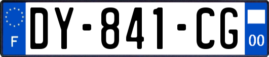 DY-841-CG