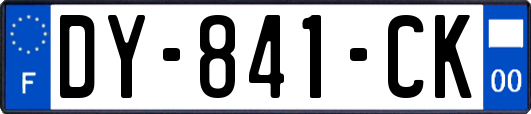 DY-841-CK